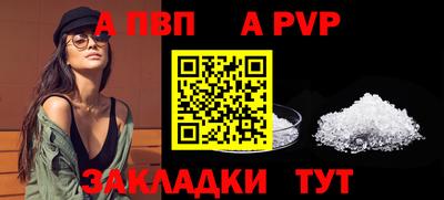 крисы Малгобек