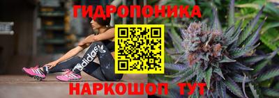крисы Малгобек