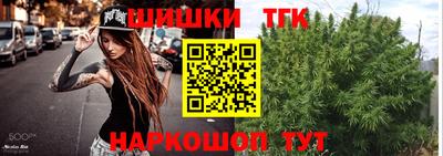 крисы Малгобек