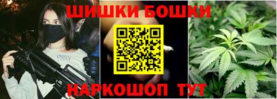 крисы Малгобек