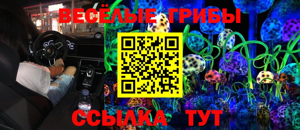 Тверь  Псилоцибиновые грибы Cubensis  Вход с VPN 