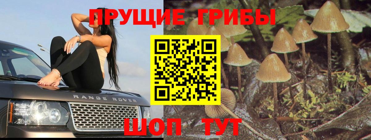Галлюциногенные грибы Magic Shrooms Тверь